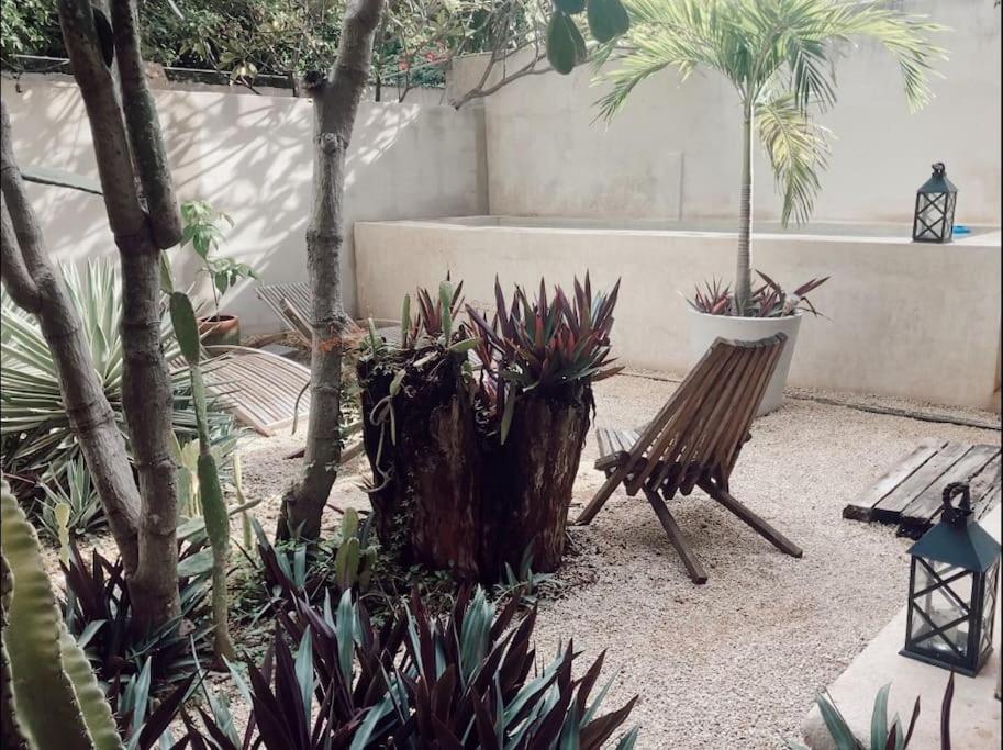 Hotel Boutique Kaa Merida Luaran gambar