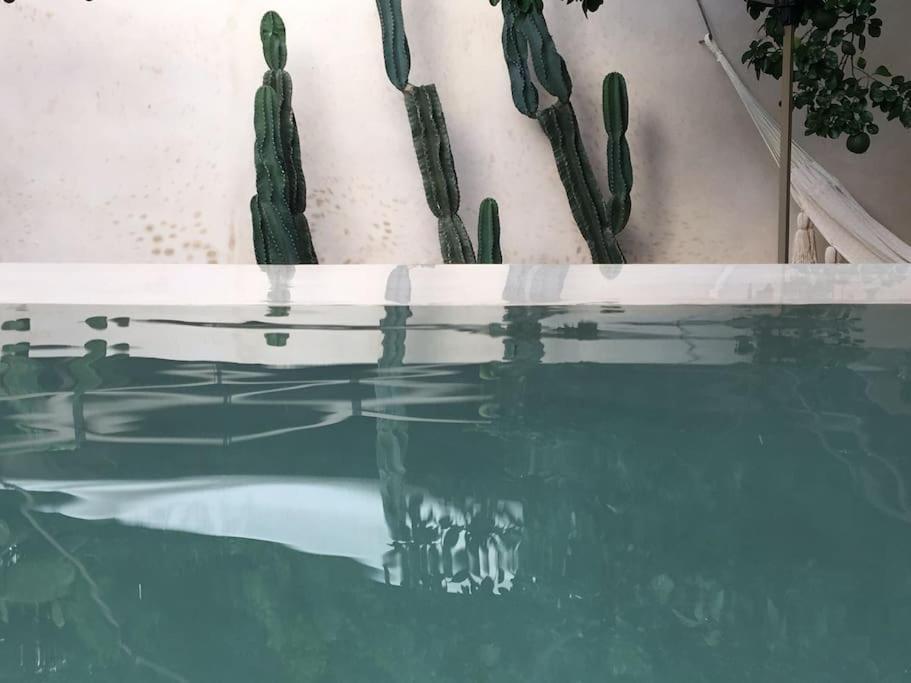 Hotel Boutique Kaa Merida Luaran gambar